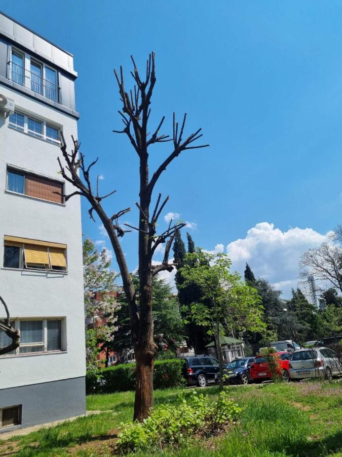 Atelje Apartment Podgorica Ngoại thất bức ảnh
