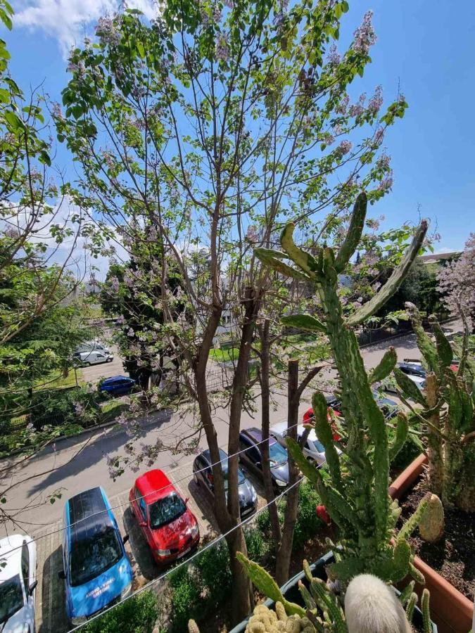 Atelje Apartment Podgorica Ngoại thất bức ảnh